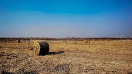 Winzinator Kazino Mobilā lietotne